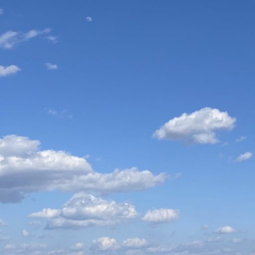 ルビアンロイヤル⭐️高保湿成分プロテオグリカンって凄いの？😕？ゴールデンシルク｜加水分解ケラチン｜ジラウロイルグルタミン酸リシンNa｜ノンシリコン処方｜